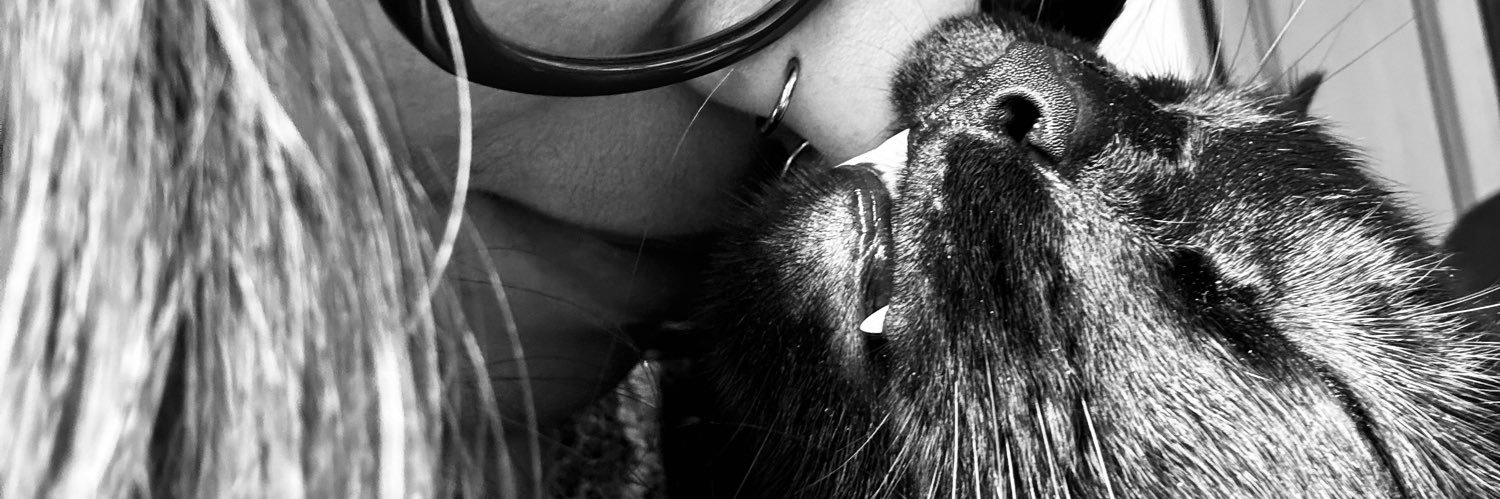 Roxaranjada's profile banner image
