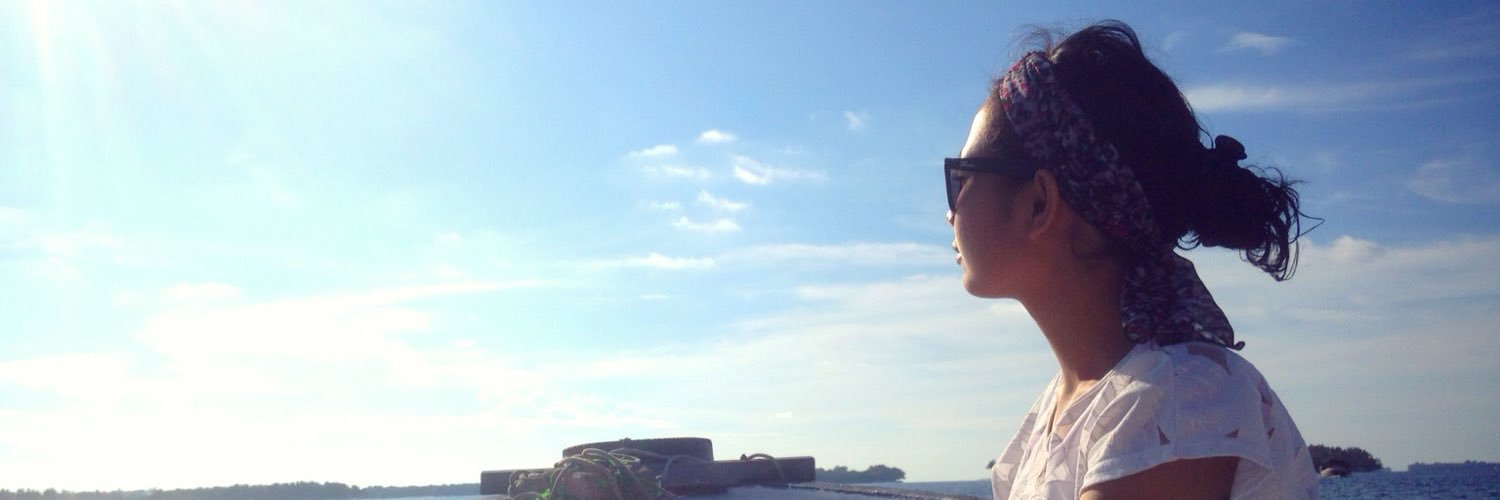 succiaml's profile banner image