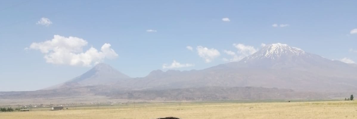 ozbeyozmen's profile banner image