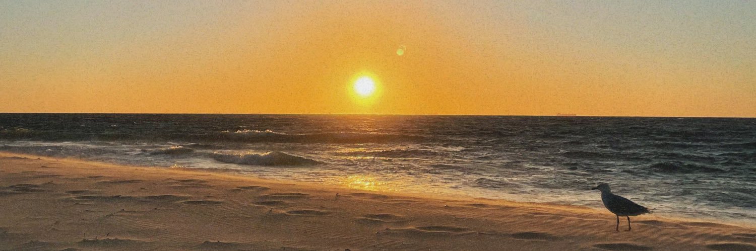 nads_cas's profile banner image