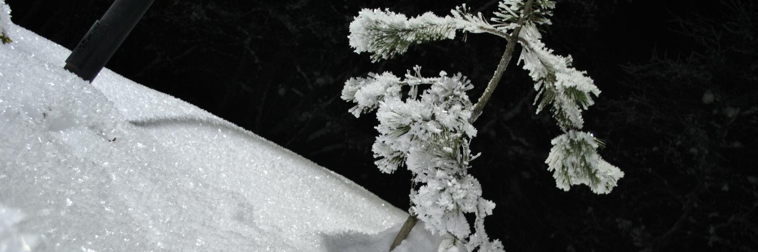 er_1401's profile banner image