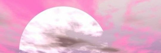 loleetaa80's profile banner image