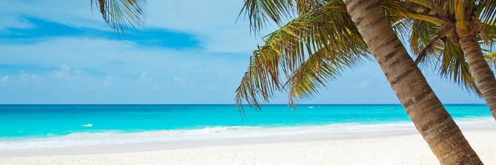 Memorial_Beach's profile banner image