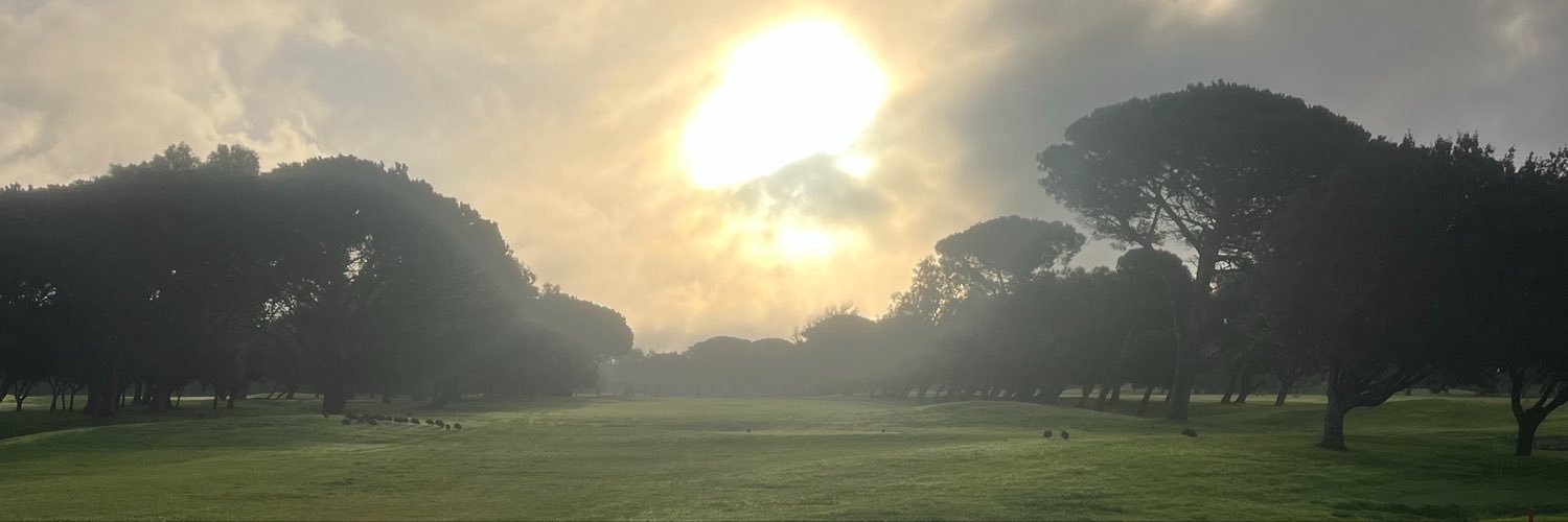more_birdies's profile banner image