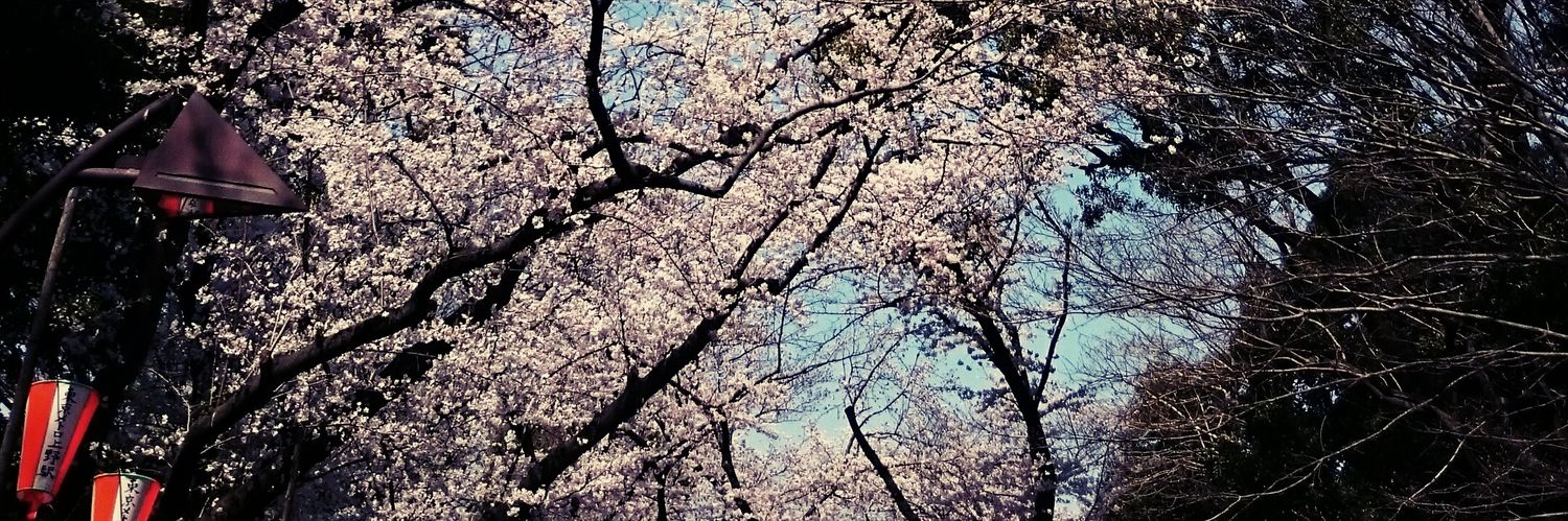 ko_key73's profile banner image