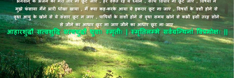 sariyaar's profile banner image