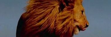 BrysonCWommack's profile banner image