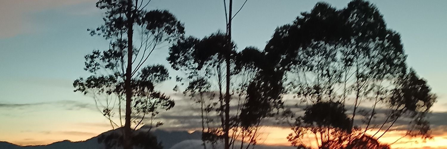 larasanisaaa's profile banner image