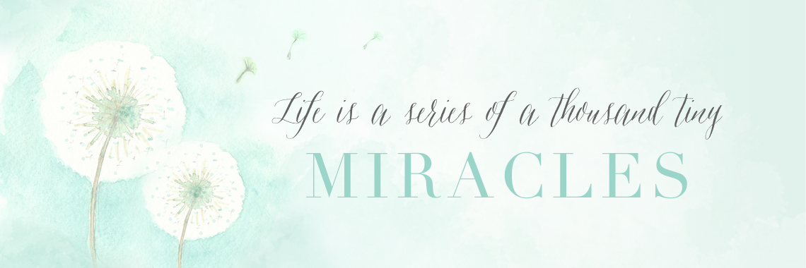 lifetinymiracle's profile banner image