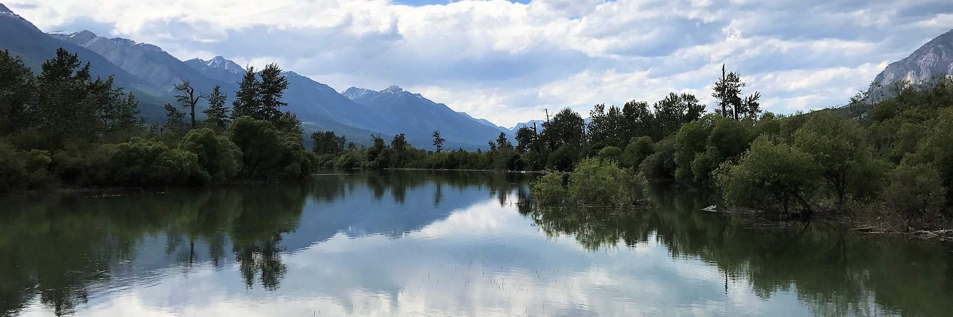 Maggie Romuld banner