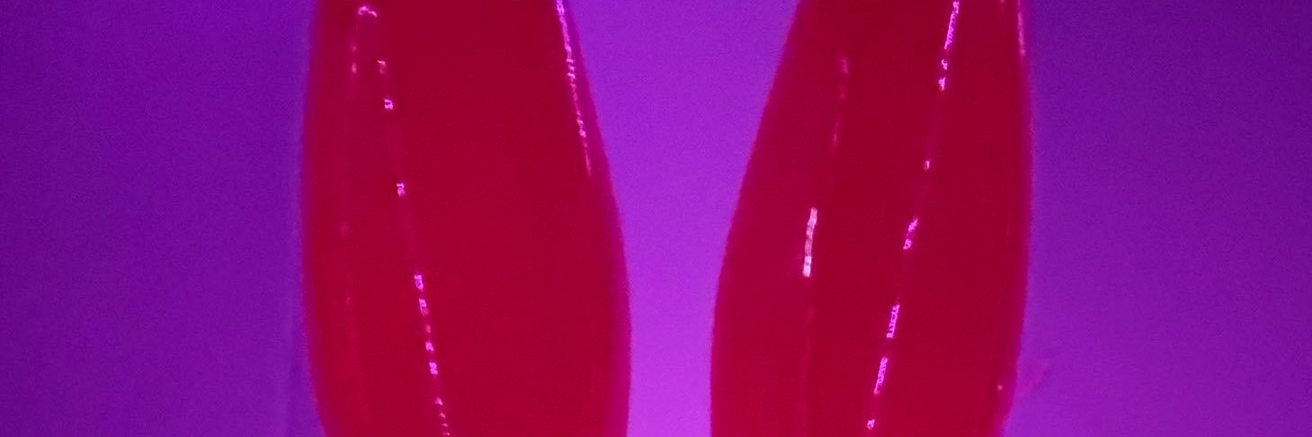 Ciprin_1's profile banner image