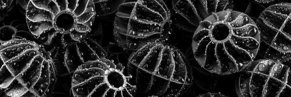 WardenBiomedia Profile Banner