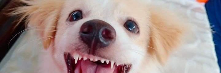 eehhnnoo's profile banner image