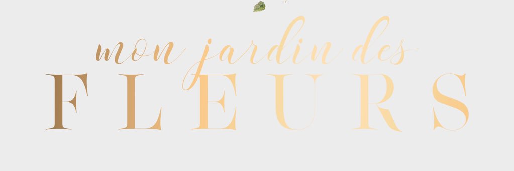 MariaJFierro's profile banner image