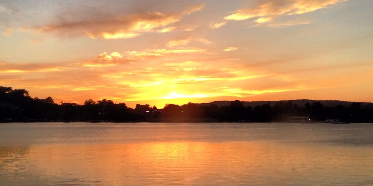 Bitten By Design banner