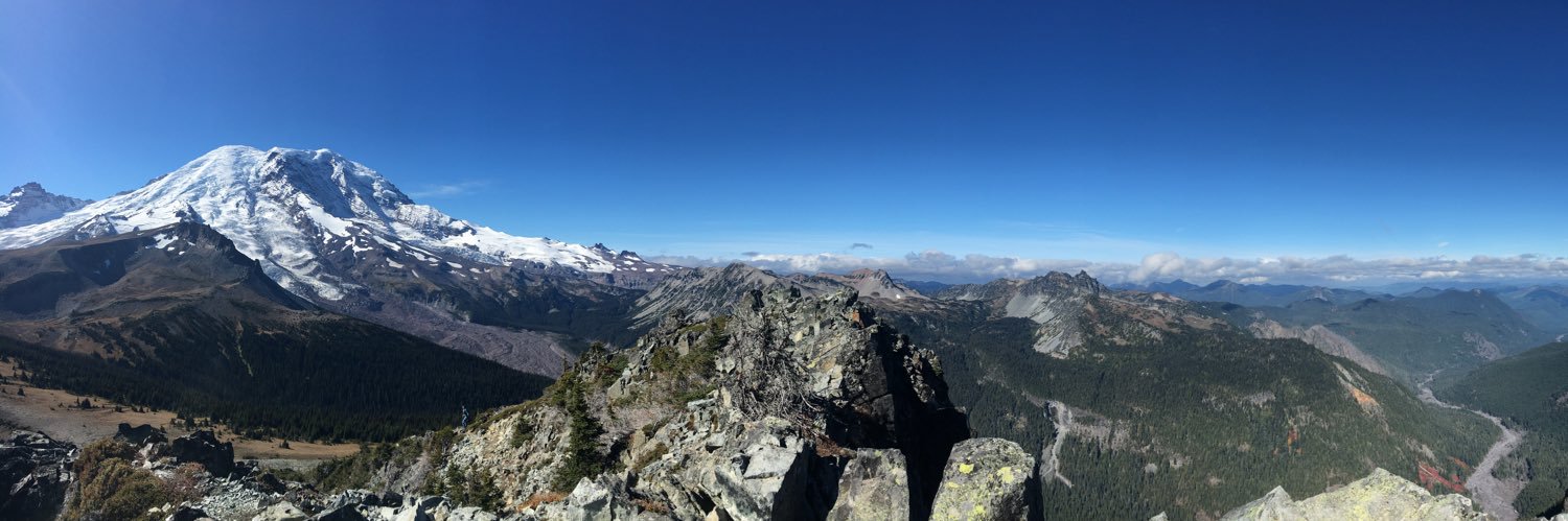 Robyn Socal (she/her) banner