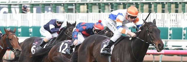 GrahaⓂ️ Fischer banner