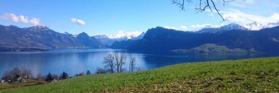 Tobias Herzog banner