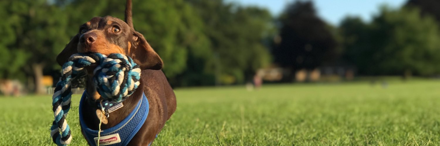 jackreyner1's profile banner image