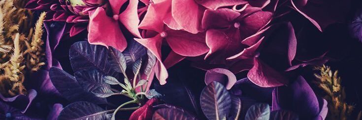 HAIFUS's profile banner image