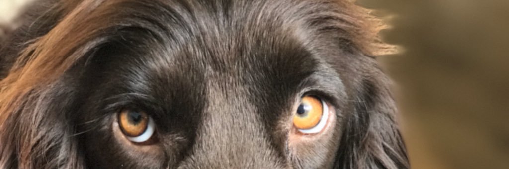 JustSolomon's profile banner image