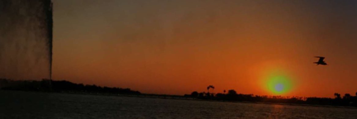 3232_azooz's profile banner image
