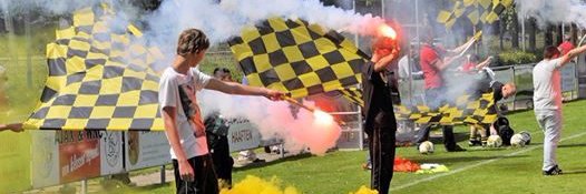 WNC Waardenburg banner