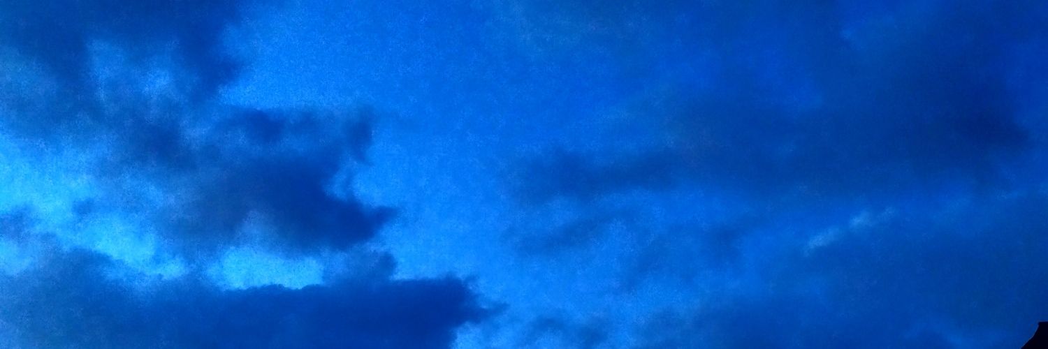 Damnedpassion1's profile banner image