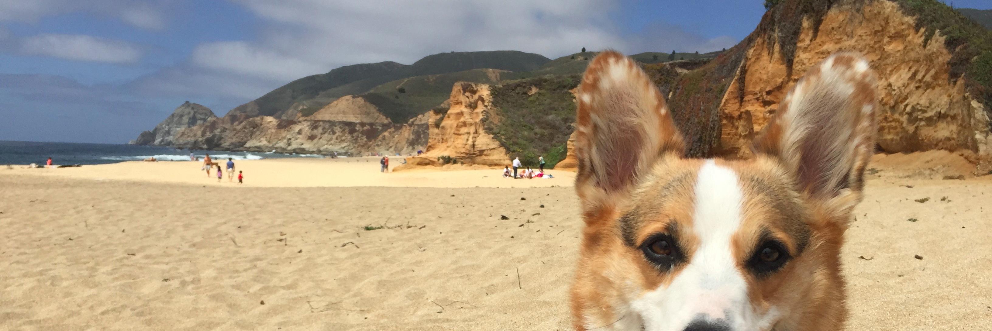 tuckrules's profile banner image