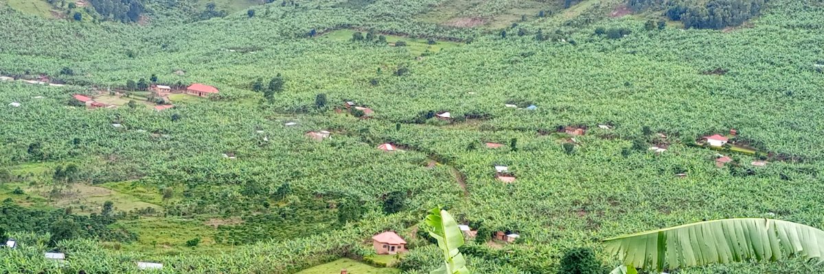 JB Balikuddembe banner