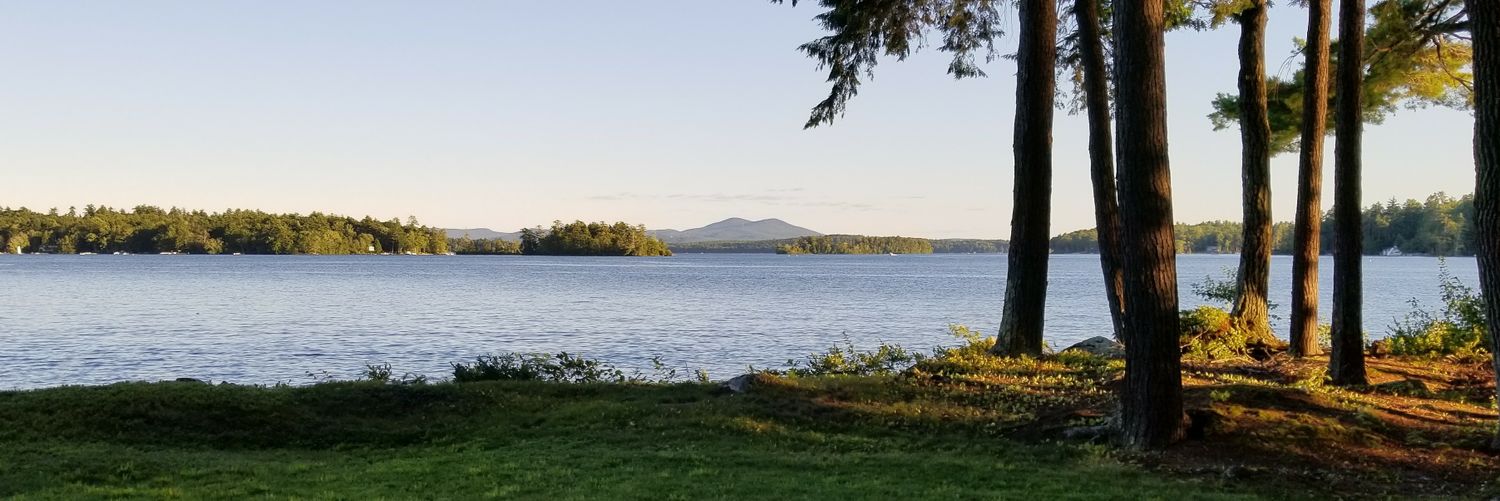 Ryan F. Burns banner