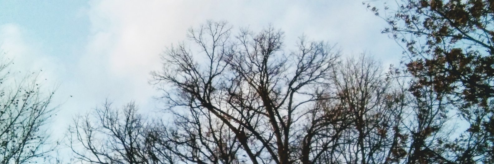 RecoveryDee's profile banner image