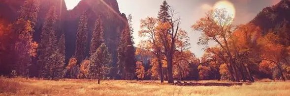 MelaniaRackow43's profile banner image
