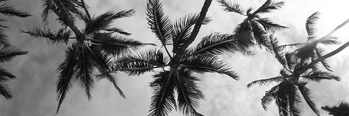 osabuzaid's profile banner image
