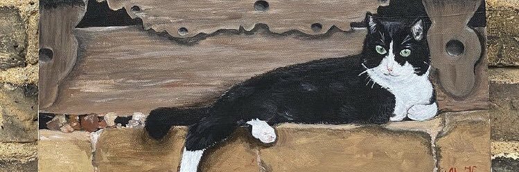 sunmoonstartrue's profile banner image