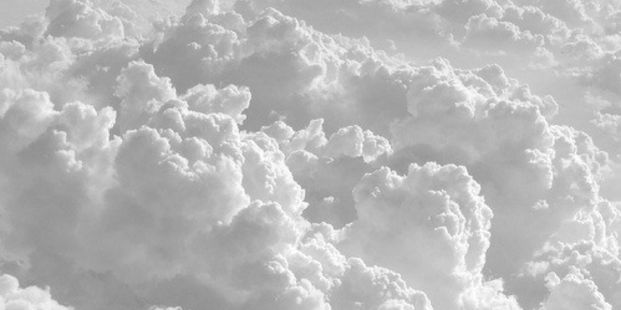 hedvignygren's profile banner image