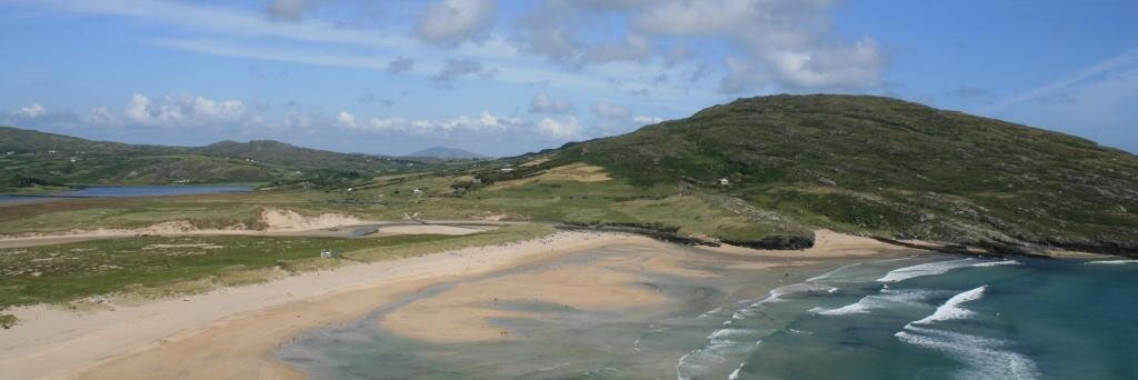 david o'connell banner