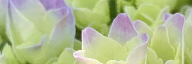 Giblya's profile banner image