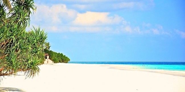 gjaneco's profile banner image