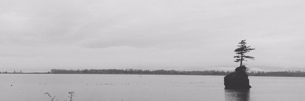 __floods__ Profile Banner