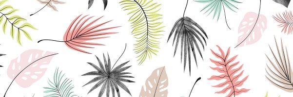 anastadwi's profile banner image