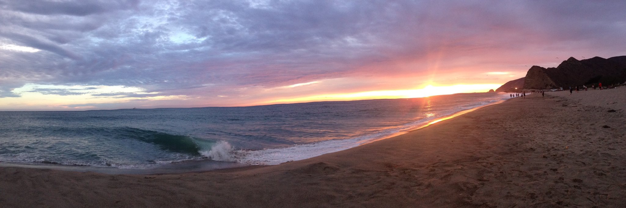 Jonathan Frank MD banner