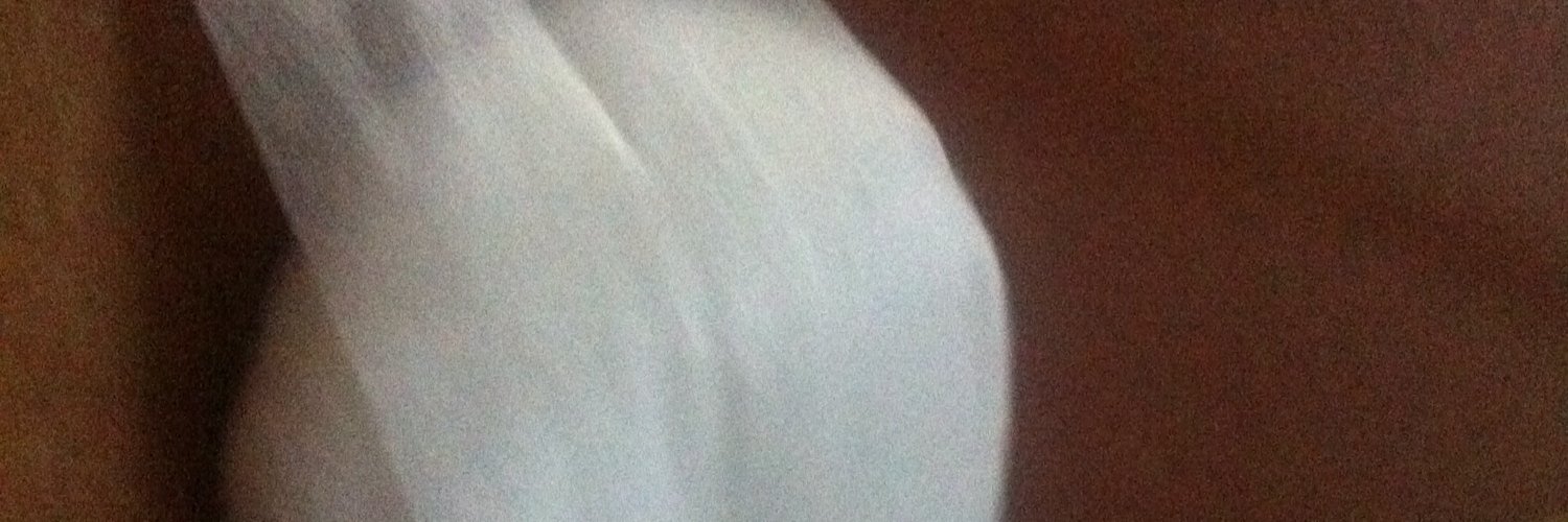 lailaimia1's profile banner image