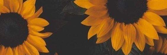 Estefii_baez's profile banner image