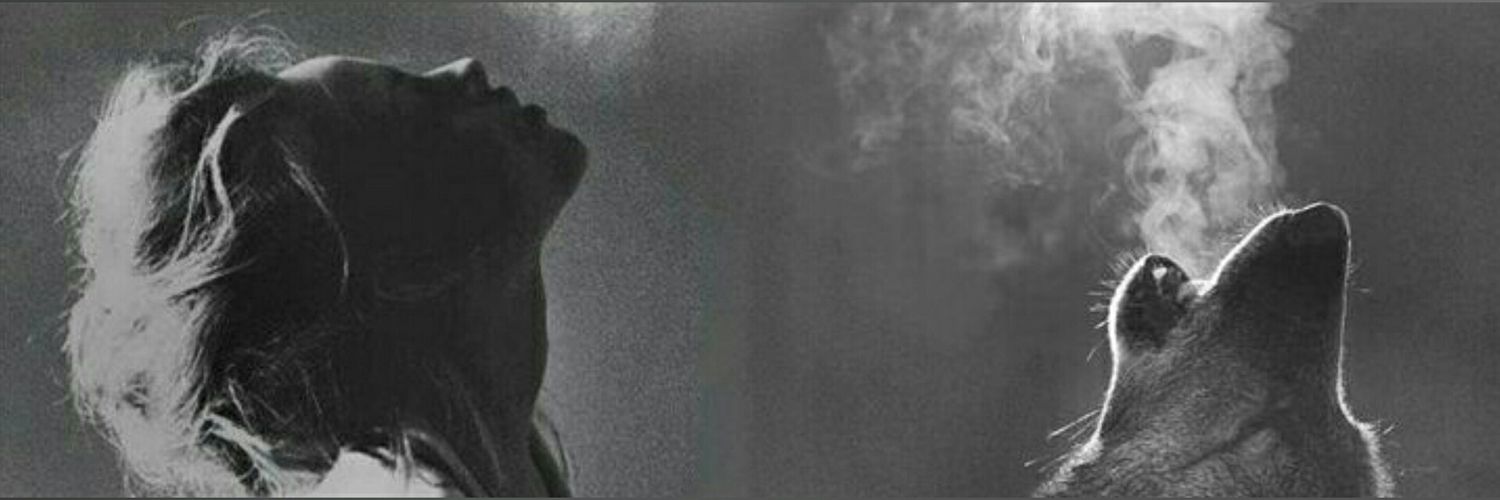 sisil4030's profile banner image