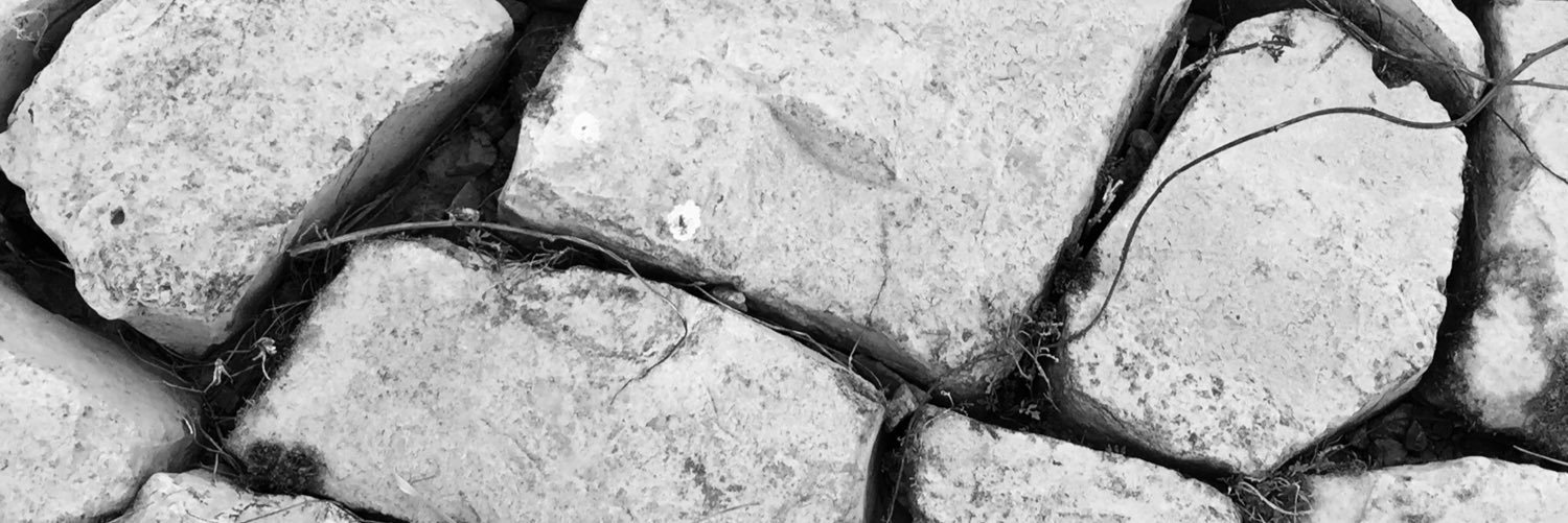 Pascal Schreur banner