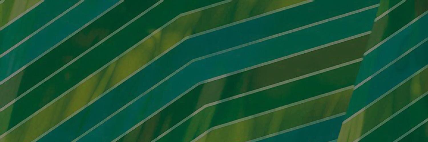CherryboyF's profile banner image