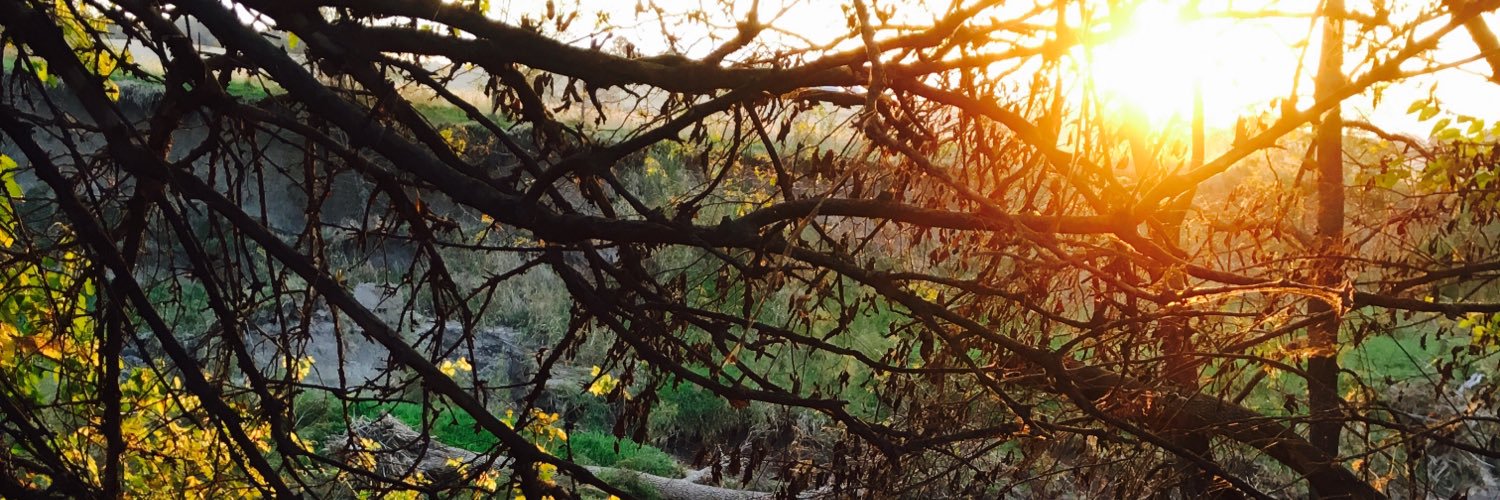 JoshChandler3's profile banner image