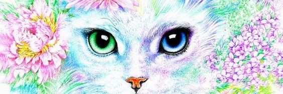 marinho771's profile banner image