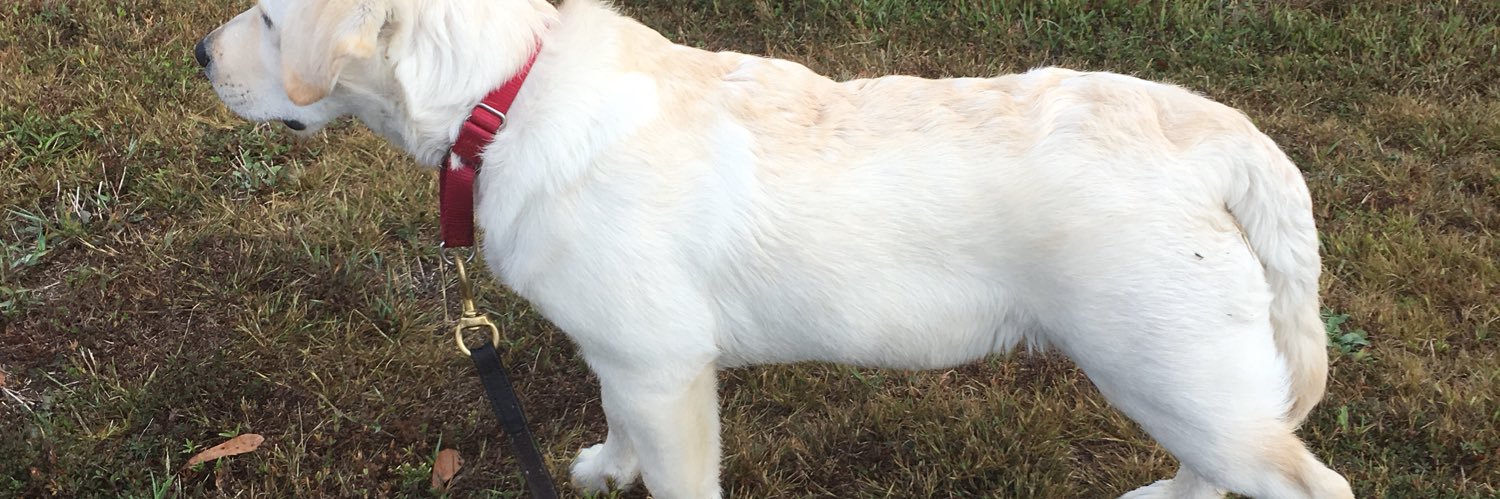 CobyBethea's profile banner image